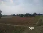 Agriculture Land Sale