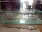 Aquarium tank 6fx2fx2f made with 12mm glass