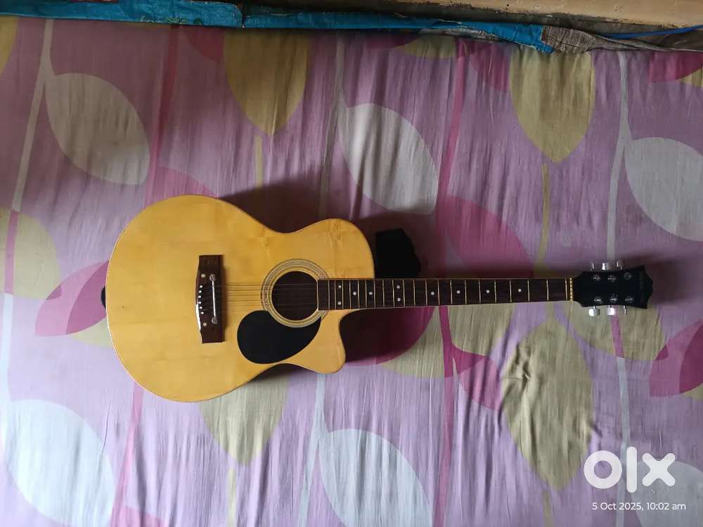 Guitar(Musical instrument)