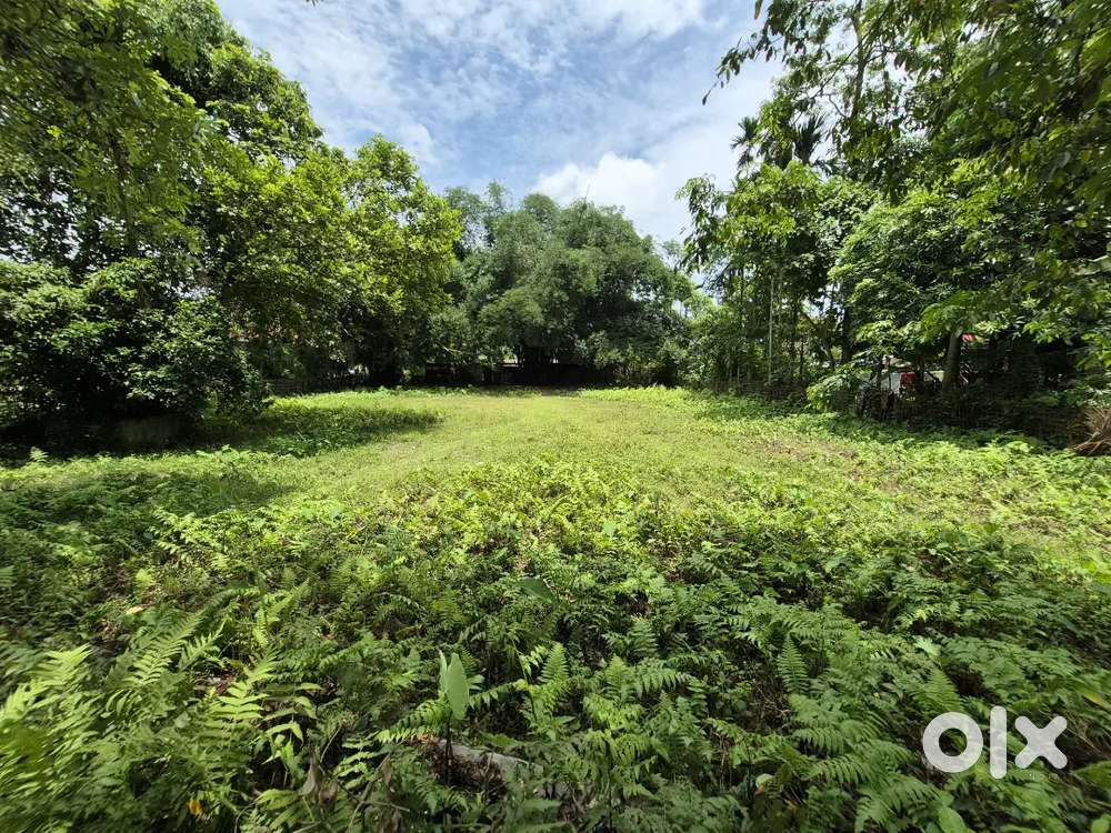 Perfect land for sale at a reasonable price