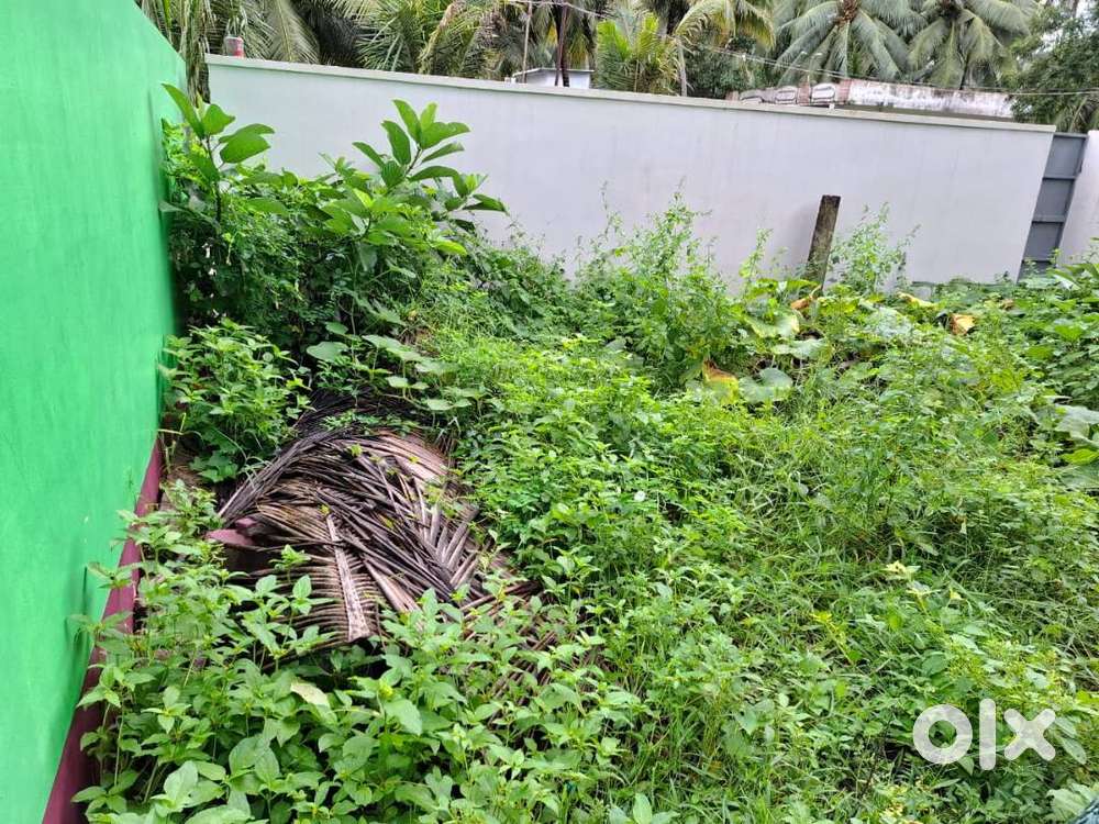 2.5 cent House plot for sale