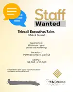 Sales executive and Telecaller