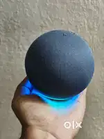 Amazon echo dot 5th gen