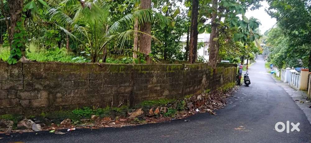 13 cent New house plot sale @ mannanthala