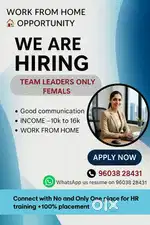 WORK FROM HOME OPPORTUNITY