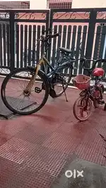 2 cycles sale,  1 small cycle, 1 big cycle