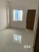 Newly launch
