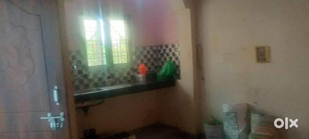 Divya vihar lane number 11 mianwala