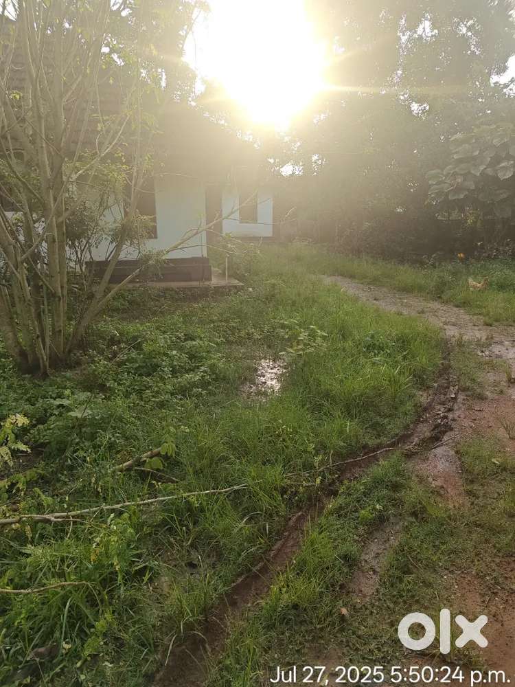 14 Cent Residential Plot for Sale – Ponjassery MH Kavala –Prime Spot