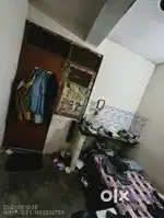 Need room partner Urgent