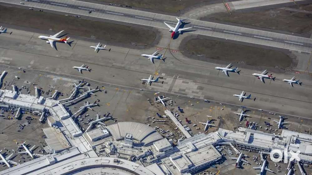 Cabin Crew/ Airport Ground Staff Jobs in Indigo Airport