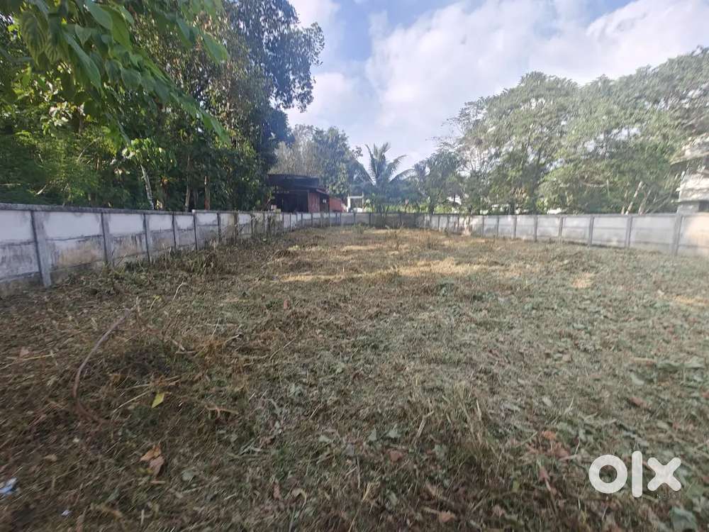 Premium land for sale #2km from Angamaly #Dry land