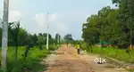 पीलीभीत बाईपास रोड से 100 मीटर अन्दर
