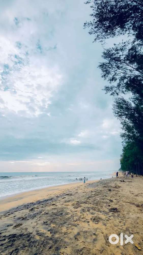 Argent cook and helpar want male and female