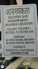 Delivery boy requirment
