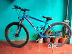 Shadowfax 29er