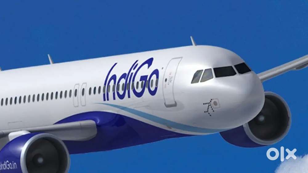 350+ seats Hiring Male Female Candidates in INDIGO AIRLINES