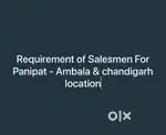 REQUIREMENT OF SALESMEN