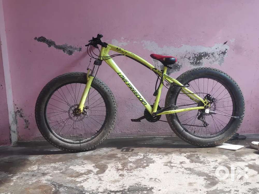 Love Freedom Dual Gear Cycle Heavy Fat Cycle, Best For Attractive Look