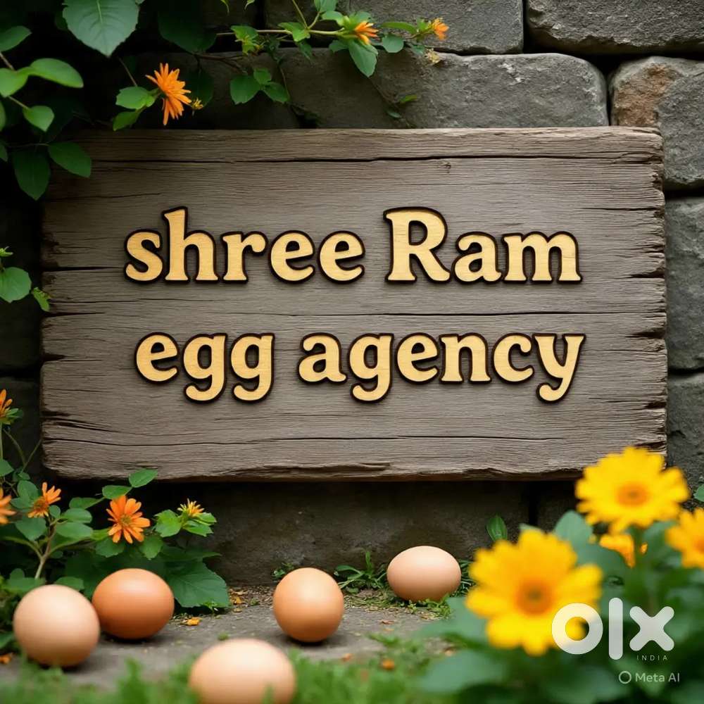 Egg delivery buy van