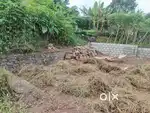 House plot