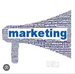 Marketing boys urgent basis need in company