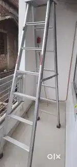 New Ladder for Sale - 1 year old