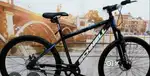 Cycle Brand - Schnell beast purple colour