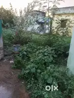 Plot for sale