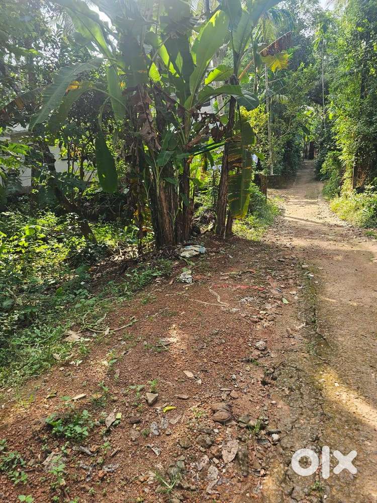 For Sale:  Residential Plot (~10 Cents) in Pantheerankavu, Calicut