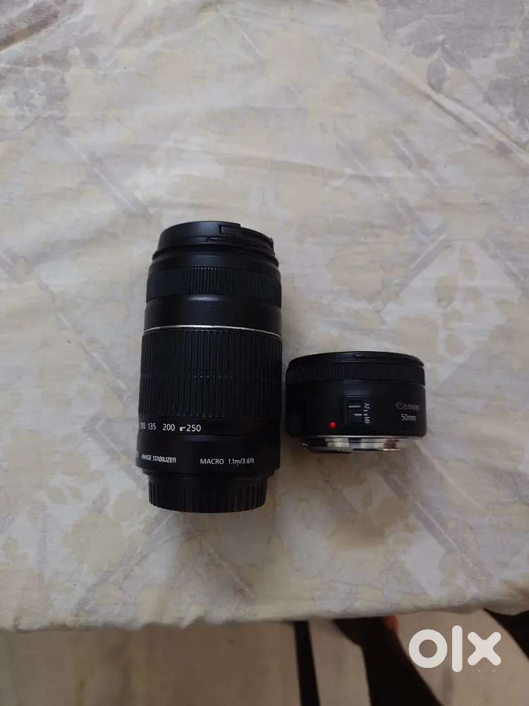 Canon EFS 50mm 55-250mm Lens