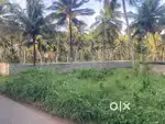 Rajakamangalam 20 Cents Land