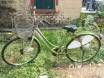 BSA SPLASH LADY BIRD