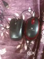buy one get on free