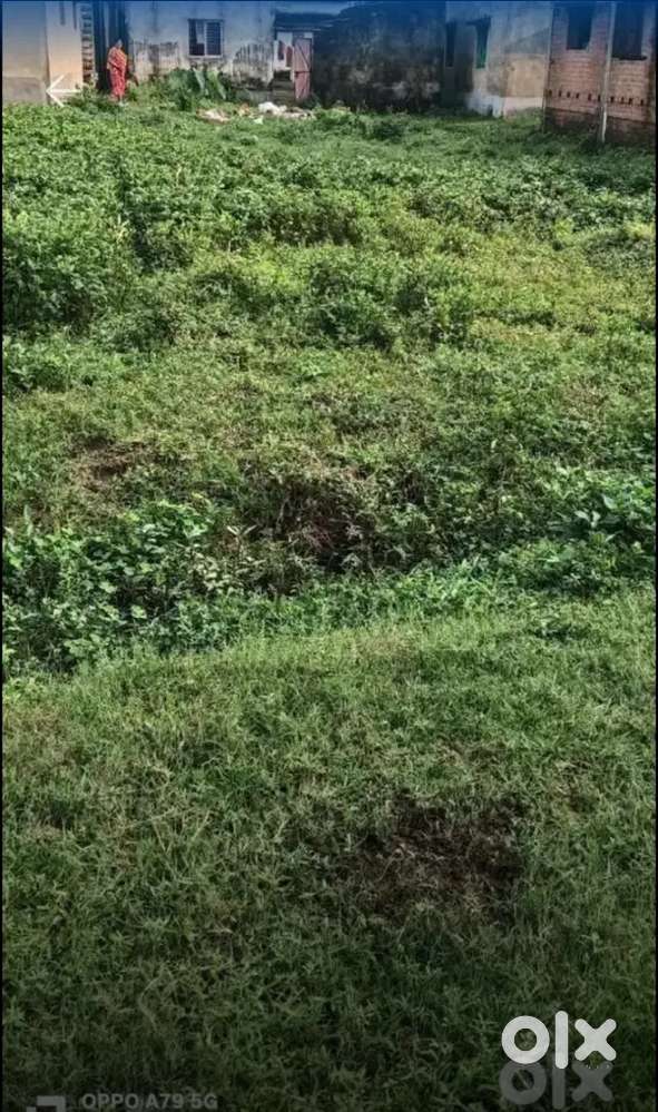 Perfect Family Plot – Low Price, Great Location( Muslim only)