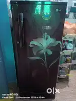 LG 205Ltr Fridge