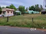20 Cents Land Sale in Murambu Rajapalayam