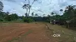 50 cent 1 ECKER SREEKARIYAM 5km corporation