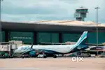Cabin Crew/Airport Ground Staff Job in indigo limited Vacancy Required