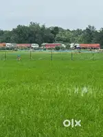 जनौरा बाईपास से नजदीक तत्काल घर बना कर रहने लायक प्लॉट