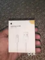 Apple Usb Cable