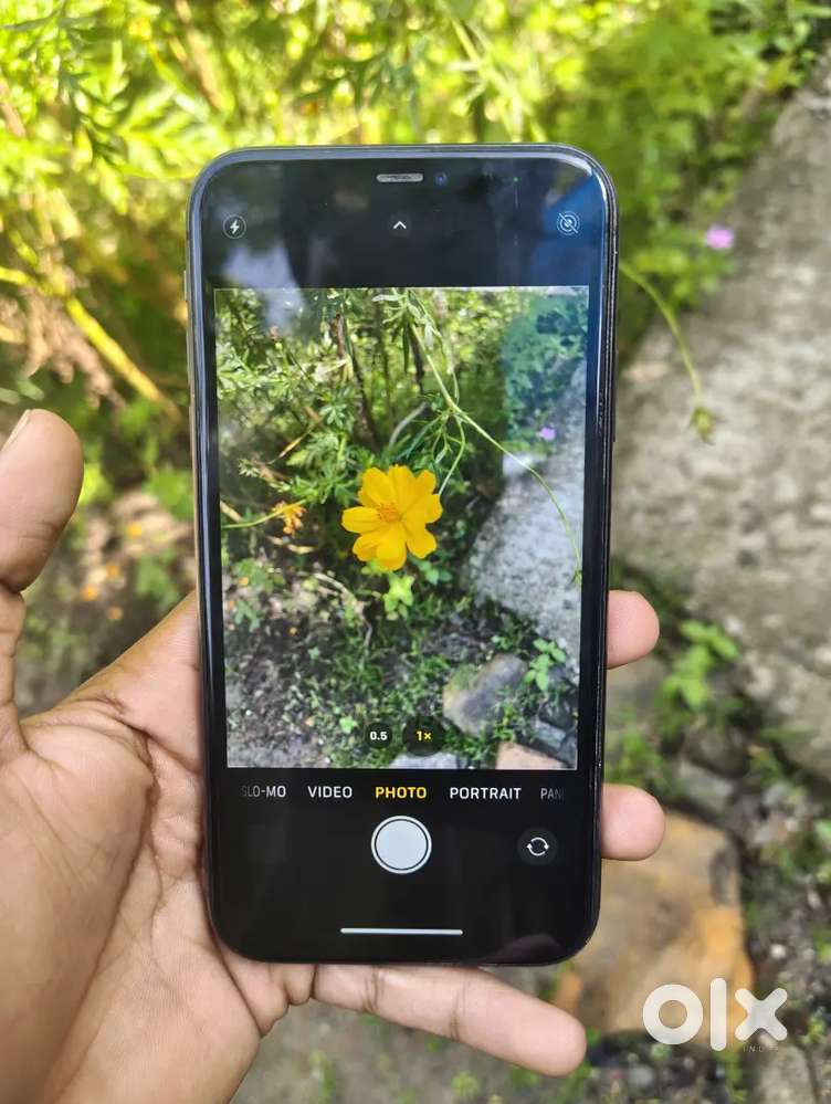iPhone 11    model number. MWN72CH/A