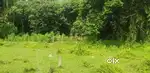 Land for sale, 10 Lecha