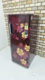 Whirlpool 220 litres intellisense inverter technology flower print.b