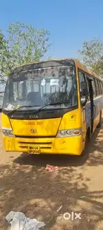 Tata Marcopolo 33.Set School Bus