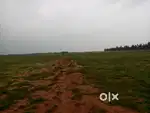 269 Acres Agricultural Land / Plot for Sale in Kamudhi
