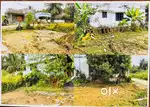 plot for sale -6 cent - kodunthirapully , palakkad