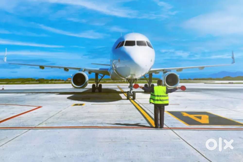 Ground Staff jobs in indigo Airlines apply fast
