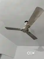 Havels fan  5 year old but no use