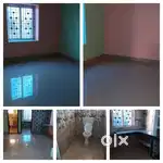 2Bhk Only Family & Ladies Rented in Hanspal
